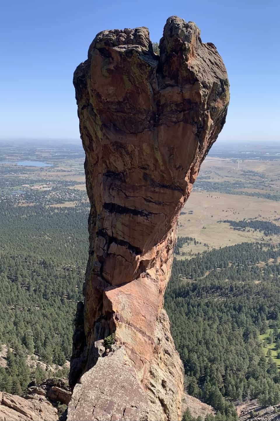 Climbing Maiden