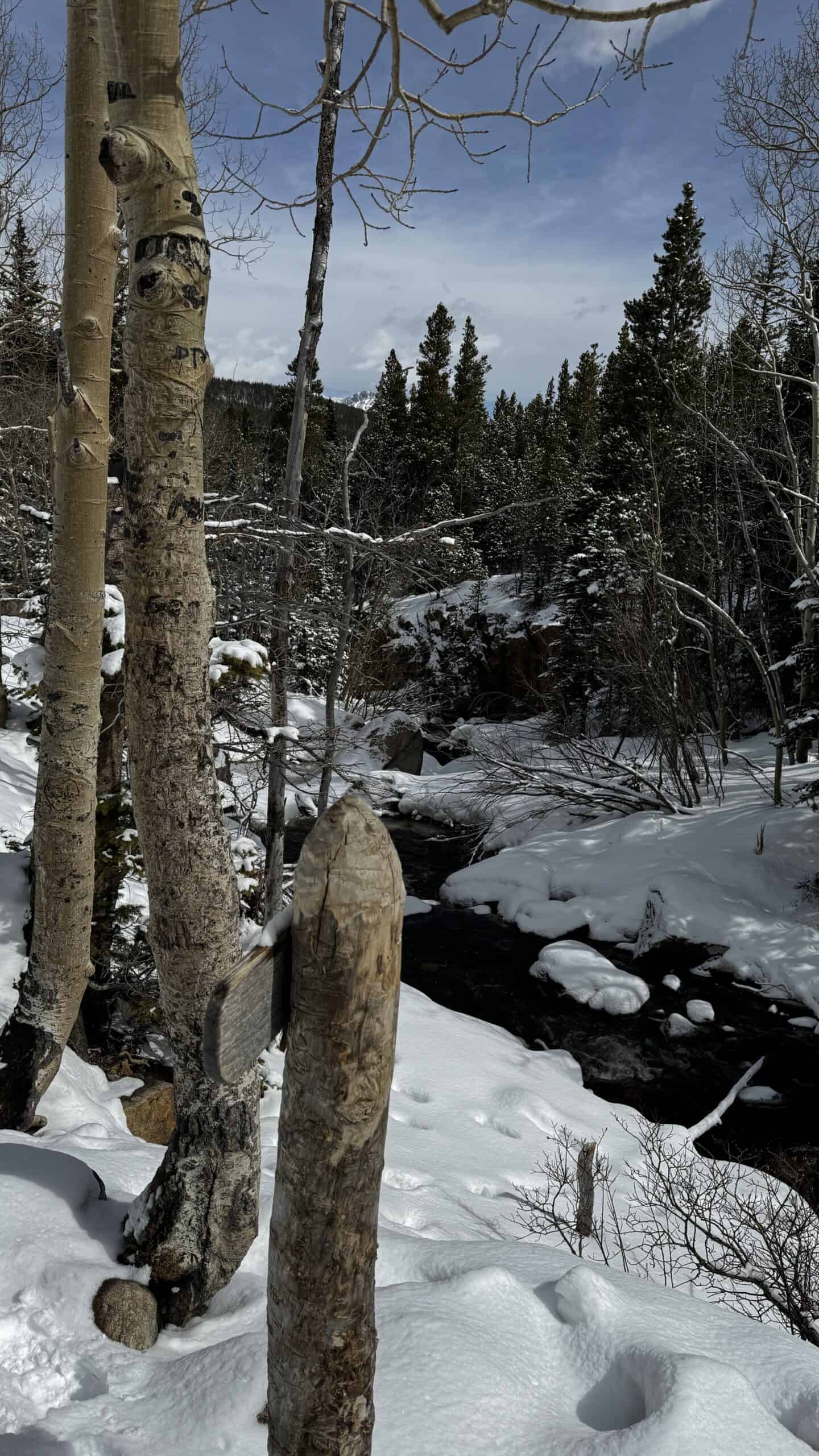 Sky Pond Trail Hike