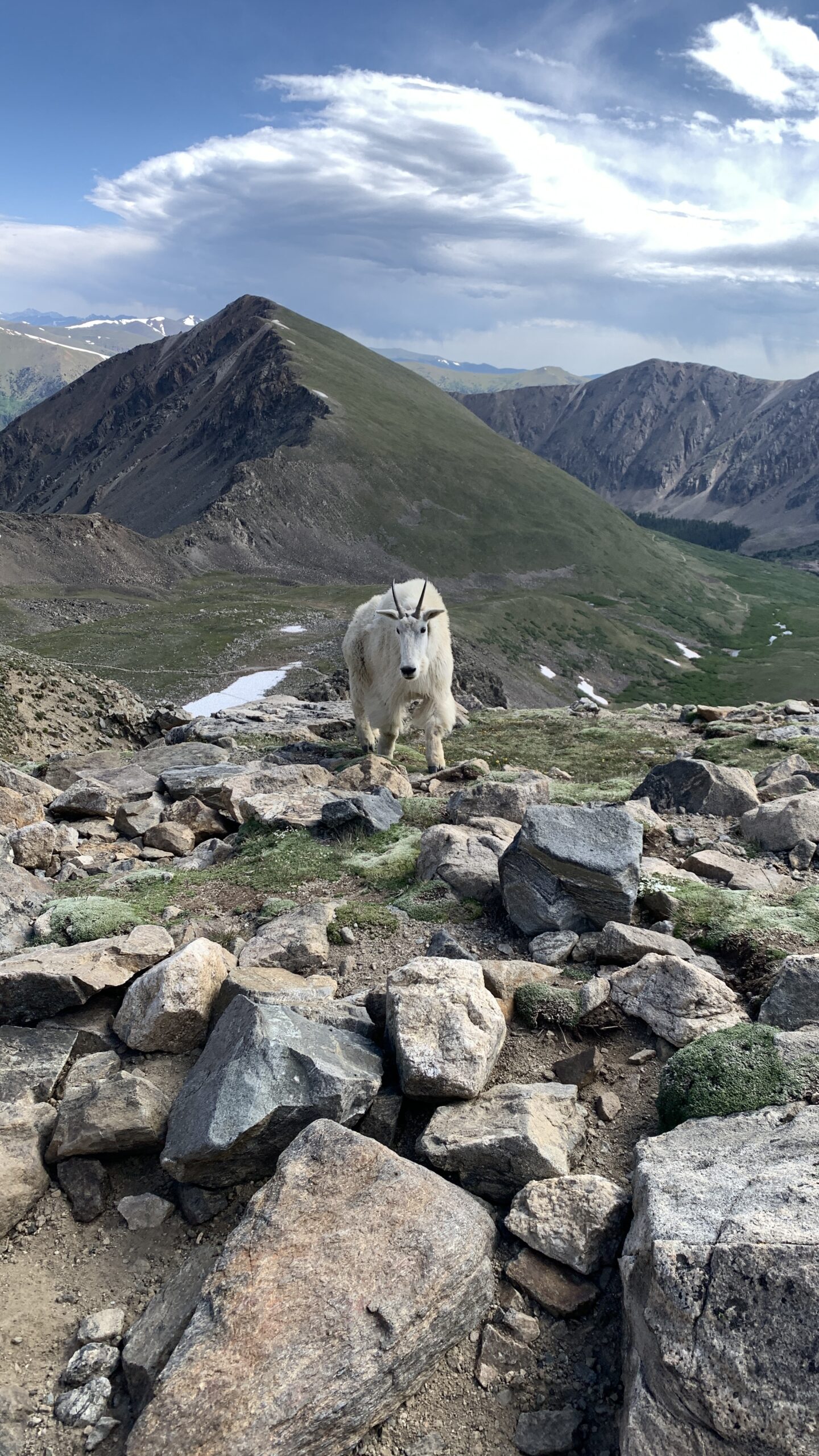 Kelso Ridge Guided Ascent