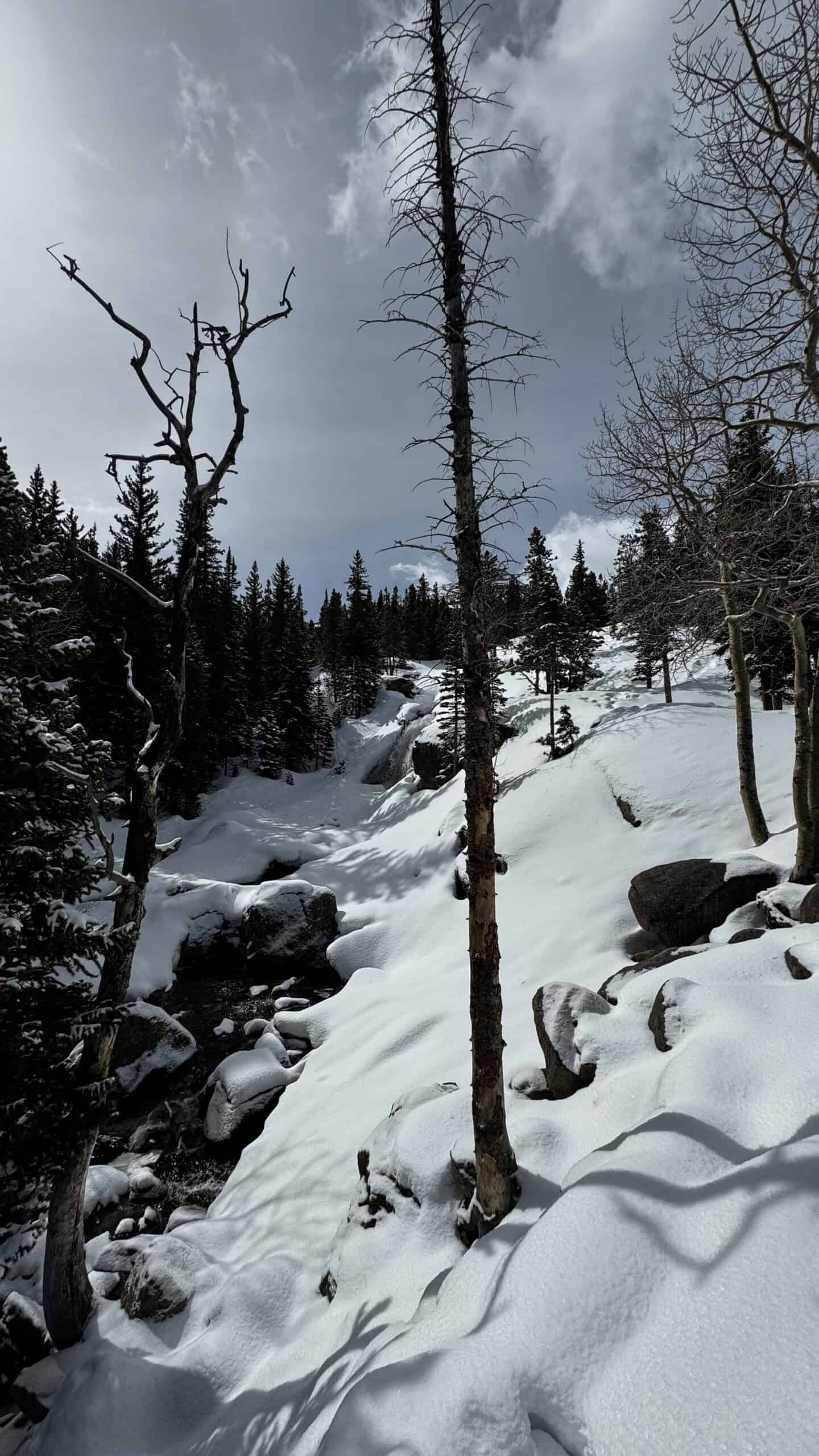 Corporate Snowshoeing